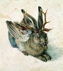 wolpertinger.jpg